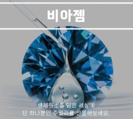 비아젬